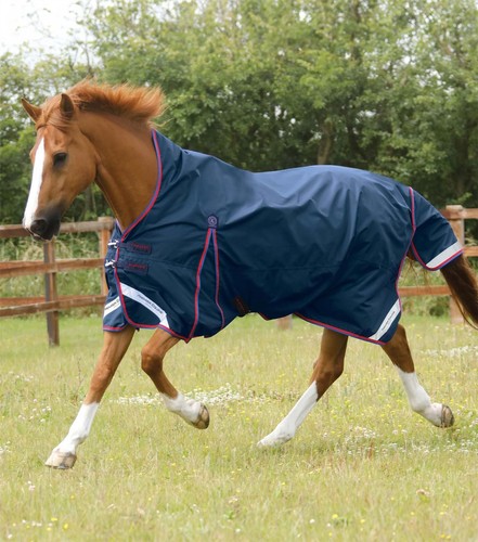 Premier equine buster hardy - equine,