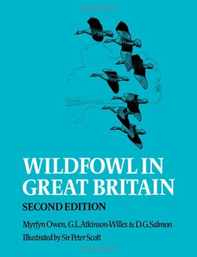 Wildfowl great - in,