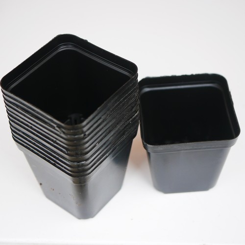 5cm plant pot - x, 6.5cm