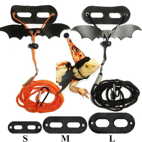 Bearded dragon leash and - bearded,
