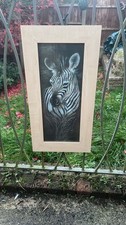 Zebra Picture Striped Innocence’ by Ruane Manning Signed Framed Art Print