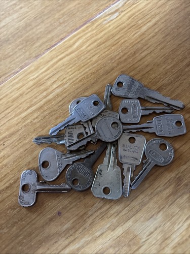 Keys fs890 sr419 ft225 - fs890,