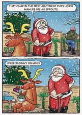Santa Christmas Card Horse Manure Sprouts Humour Joke Funny Open Male Female