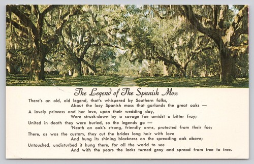 Vintage plastichrome postcard - vintage,