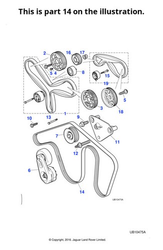 Jaguar engine drive belt - drive,