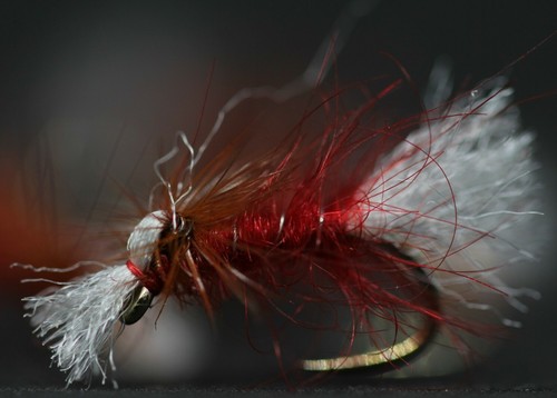 Big red dry fly size - x,