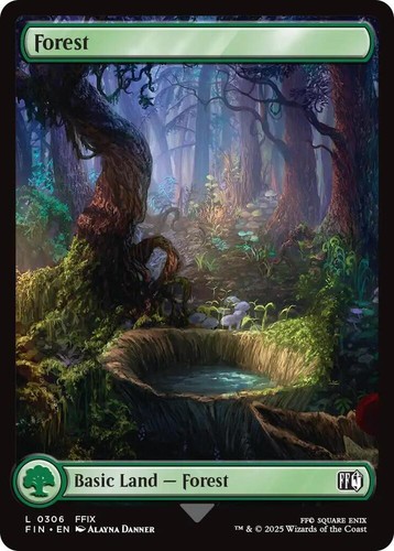 Forest 306 land - land, final