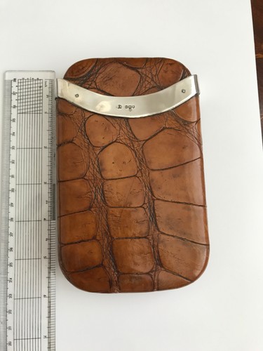 Crocodile silver antique - &,