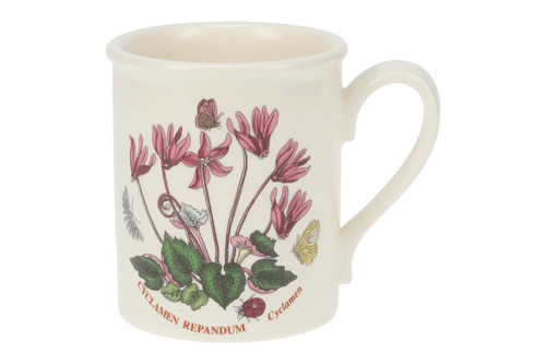 Portmeirion botanic garden - botanic,