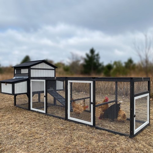 Large chicken coop - chicken, hen