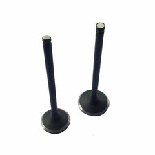 Valve Set CG 150cc Pit Dirt
