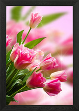 pink tulip Framed Wall Art