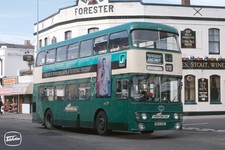 Bus Photo - People's