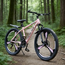 Pink inch mountain bike 21 - pink,