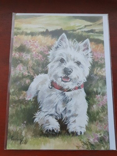 Westie birthday card - , west