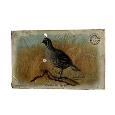 Victorian Era Advertising Trade Card Arm & Hammer Church Co Californian Quail 10