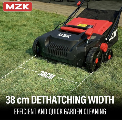 Electric lawn scarifier and - lawn,