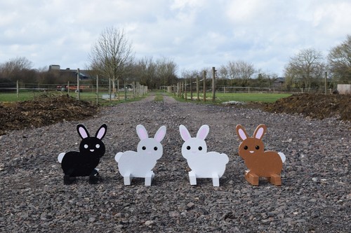 Bunny rabbit show - bunny, fillers