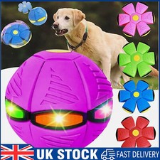 Doggie Disc Ball with Lights