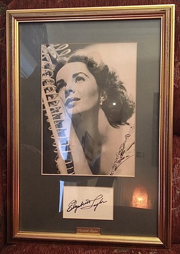 Elizabeth taylor framed - taylor,