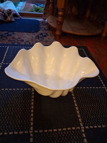 Large used hard plastic clam - plastic,