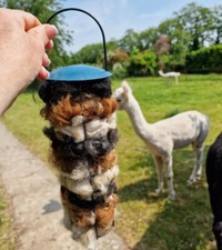 Bird Nesting Material 100%