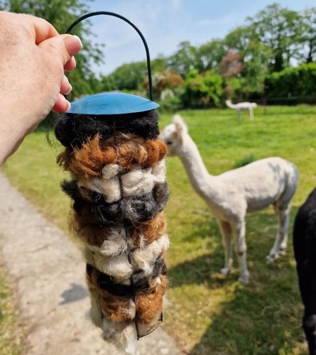 Bird nesting material 100 - bird,