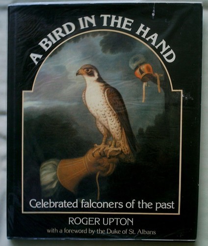 Falconry bird the - the, hand