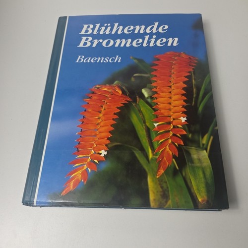 Blühende bromelien baensch - blühende,
