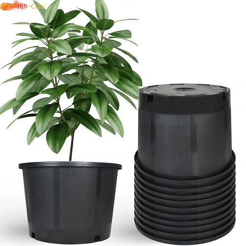 Plastic nursery pots plant - plastic,
