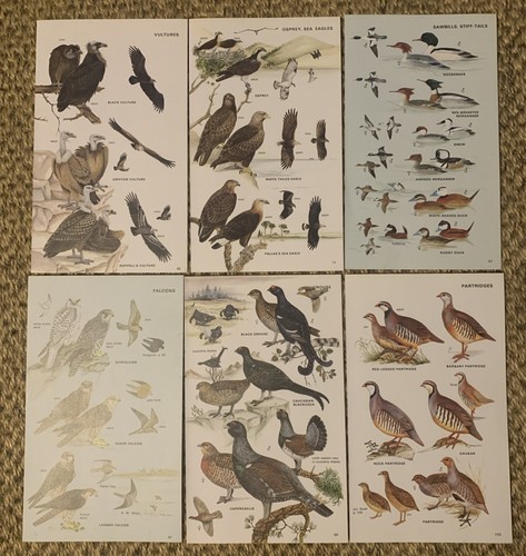 Vintage 1972 book plate - 6x,