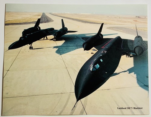 Blackbirds on the - on,