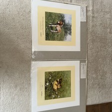 SUPERB MATCHED PAIR 1385/1500