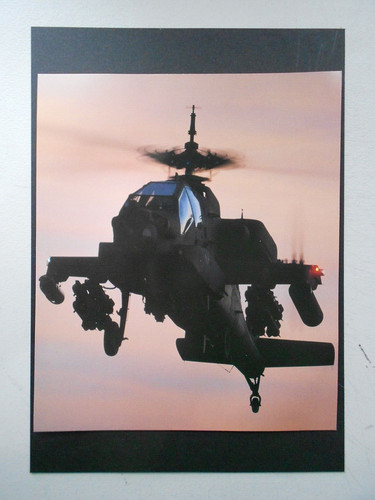 Airforce print north - airforce,