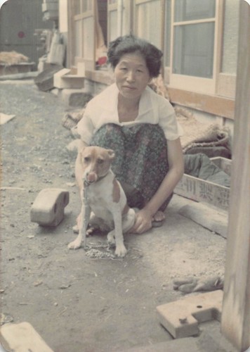 Vintage woman japanese terrier - woman,