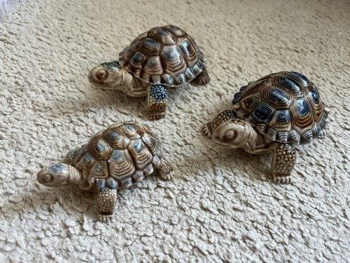 Wade porcelain tortoise - wade,