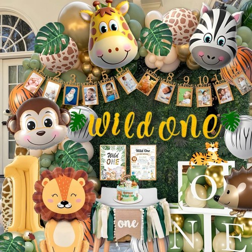 Wild one birthday decorations - one,