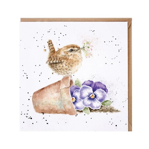 Flower pot wren - flower, card
