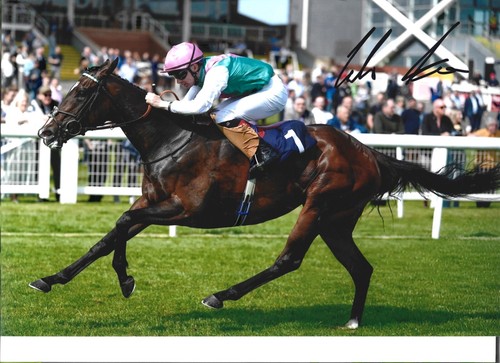 Colin keane signed - signed, irish