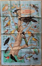 1970’s Birds In Britain