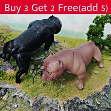 American Bully Pitbull Pvc