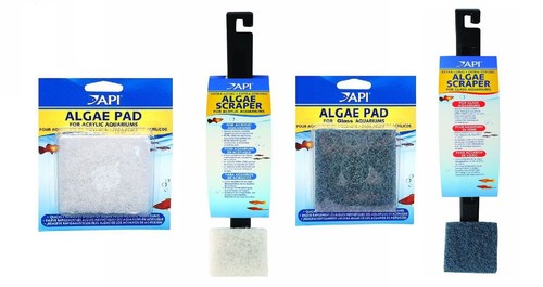 Api algae scraper pad - algae,