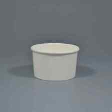 White Disposable Ice Cream