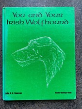 irish wolfhound dogs hounds