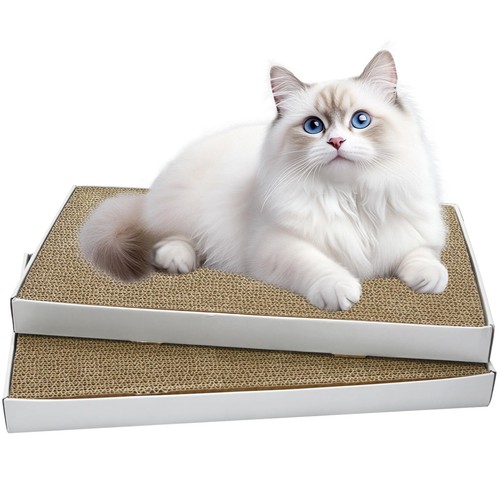 Large cat scratching - cat, board