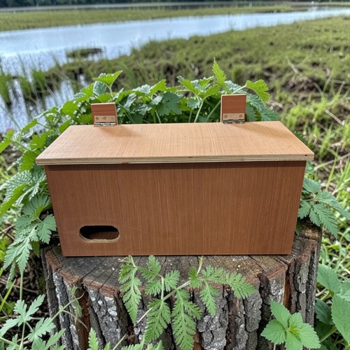 Swift nest box wooden - box,