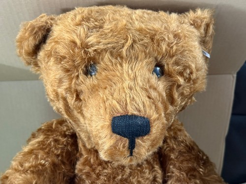 Steiff bear 1906 - steiff, limited