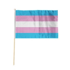 Flagtex Transgender Hand Flag