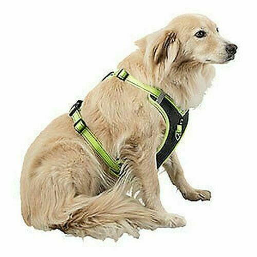 Peaks ascent dog - 3, harness