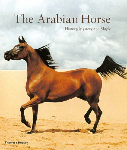 The arabian horse - arabian, horse: